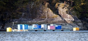 Plover Pt chunder float 2013-03-22